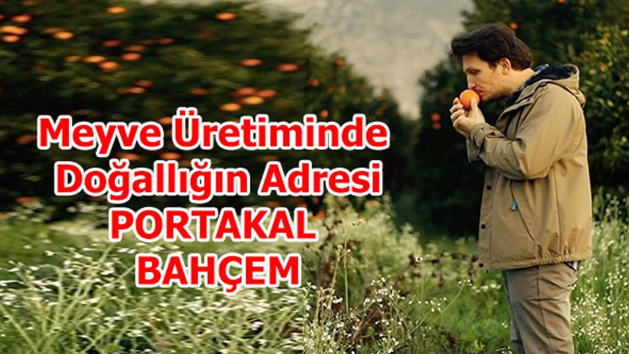 Meyve Üretiminde Doğallığın adresi: PORTAKAL BAHÇEM