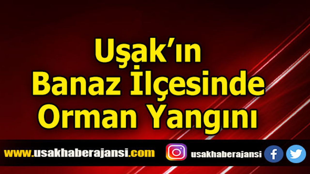 Uşak’ın Banaz İlçesinde Orman Yangını