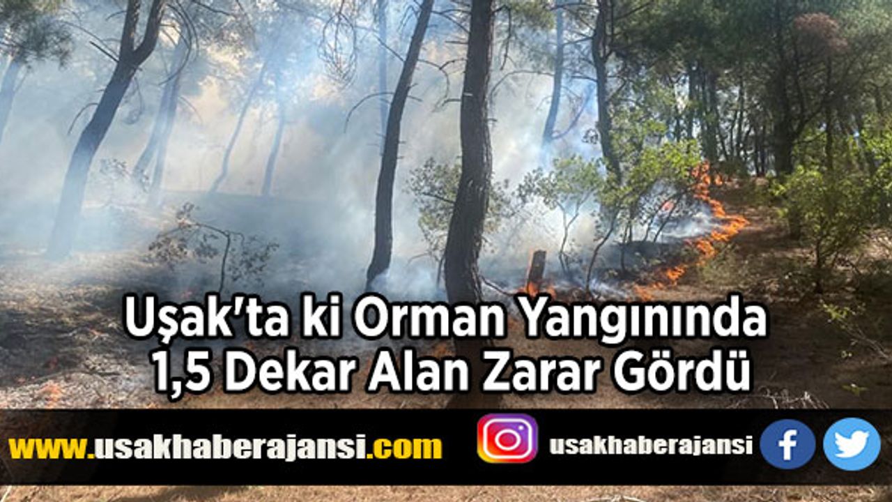 Uşak'ta ki Orman Yangınında 1,5 Dekar Alan Zarar Gördü