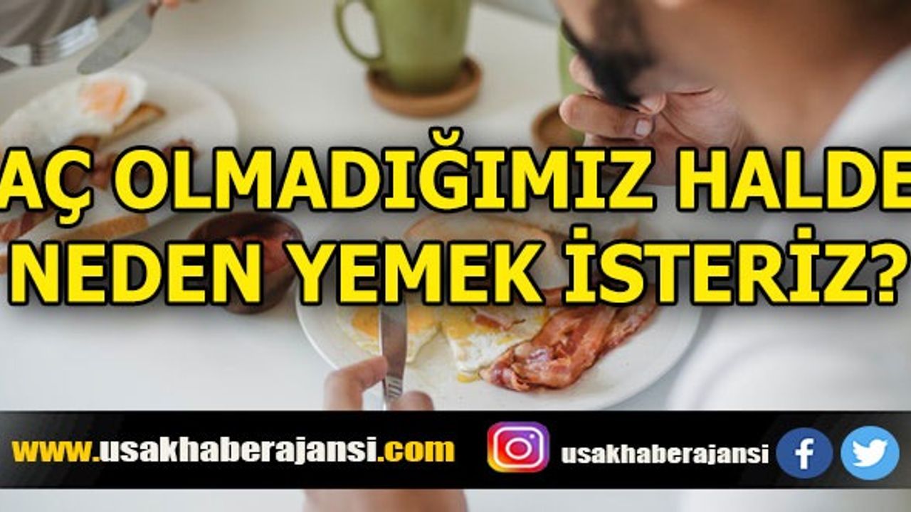 Aç Olmadığımız Halde Neden Yemek İsteriz? 