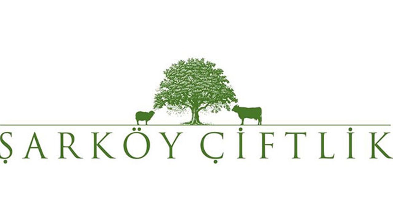 Şarköy'den Doğal ve Lezzetli Zeytin ve Zeytinyağı Siparişi