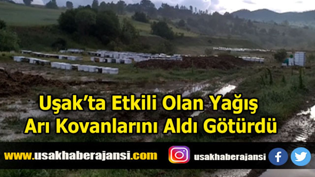 Uşak’ta Etkili Olan Yağış Arı Kovanlarını Aldı Götürdü