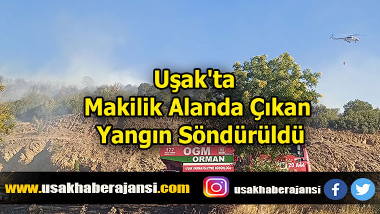 Uşak'ta Makilik Alanda Çıkan Yangın Söndürüldü