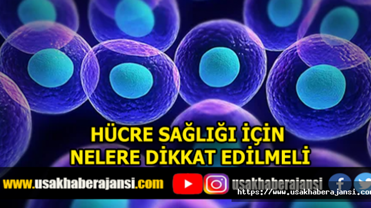 Hücre Sağlığı İçin Nelere Dikkat Edilmeli
