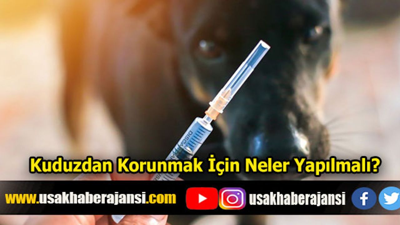 Kuduzdan Korunmak İçin Neler Yapılmalı