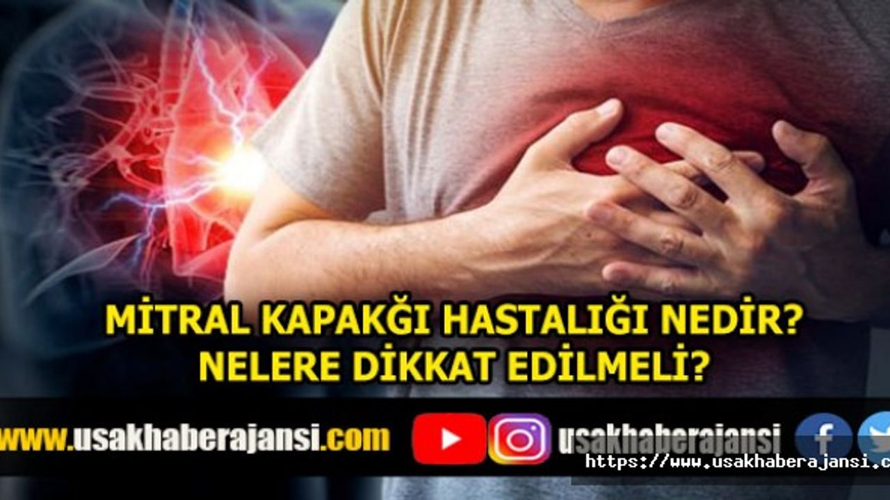 Mitral Kapak Hastalığı Nedir? Nelere Dikkat Edilmeli?