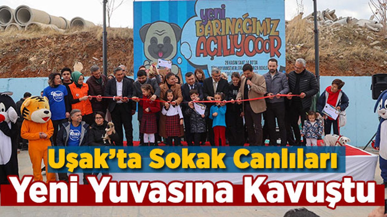 Uşak’ta Sokak Canlıları Yeni Yuvasına Kavuştu