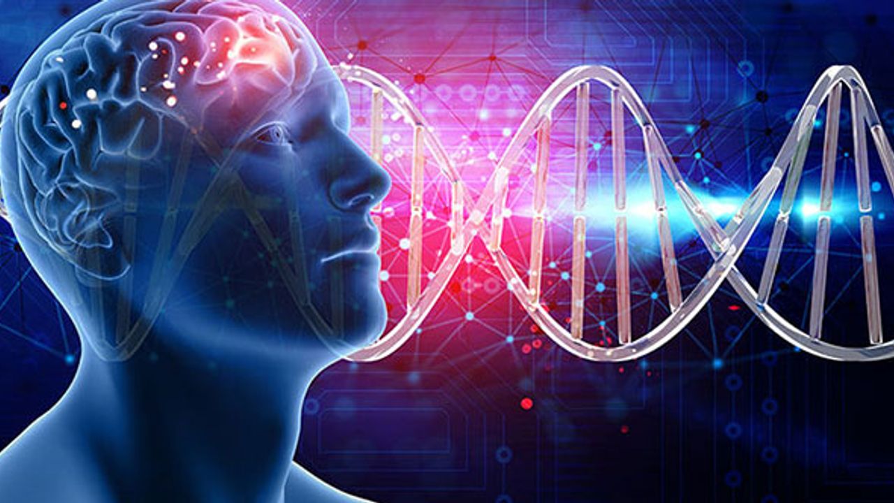 Epilepsi Nedir, Tanı Nasıl Konur, Epilepsi Tedavisi Nasıl Uygulanır