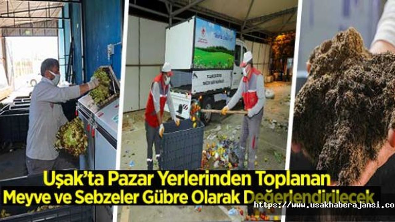 Uşak'ta Pazar Yerlerinden Toplanan Meyve ve Sebzeler Gübre Olarak Değerlendirilecek