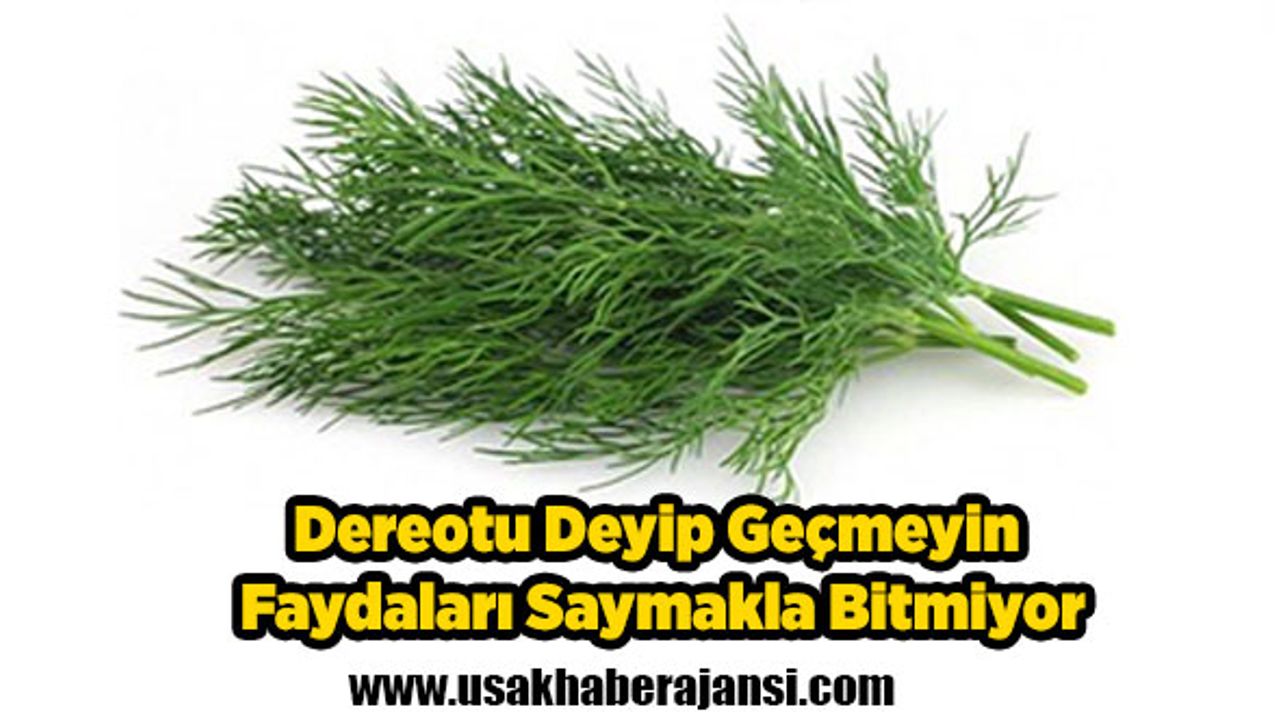 Dereotu Deyip Geçmeyin Faydaları Saymakla Bitmiyor