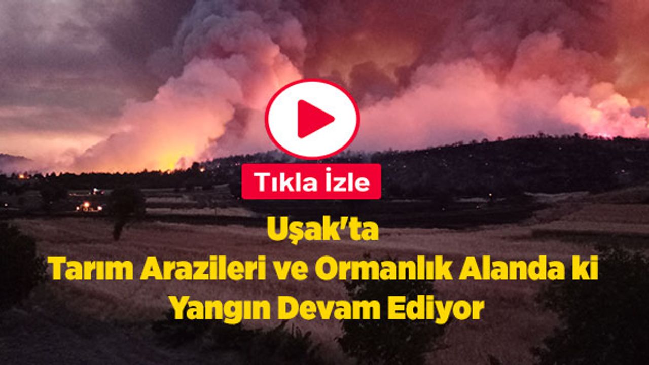 Uşak'ta Tarım Arazileri ve Ormanlık Alanda ki Yangın Devam Ediyor