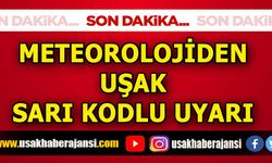 Meteorolojiden Uşak için Sarı Kodlu Uyarı