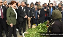 İYİ Parti Genel Başkanı Meral Akşener, Uşak Adayı Gür için destek istedi