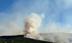 Usak'ın Eşme ilçesinde Ormanlık Alanda Yangın