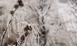 Meteoroloji Uyardı, Uşak ve 23 il İçin Zırai Don Uyarısı