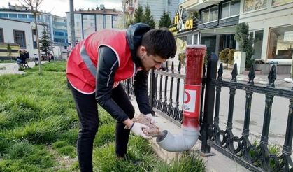 Kızılayın genç gönülleri aç kalan sokak hayvanlarına sahip çıktı