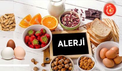 Besin Alerjisi nedir?