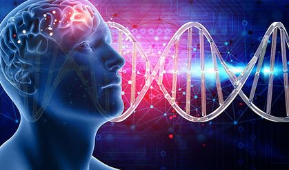 Epilepsi Nedir, Tanı Nasıl Konur, Epilepsi Tedavisi Nasıl Uygulanır