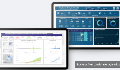 Microsoft Power BI Danışmanlığı: Veri Analitiği ve İş Zekası Stratejilerinizi Geliştirin