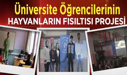 Üniversite Öğrencilerinin HAYVANLARIN FISILTISI PROJESİ