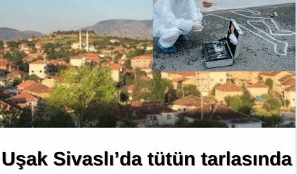 Uşak'ta tütün tarlasında  genç ölü bulundu!
