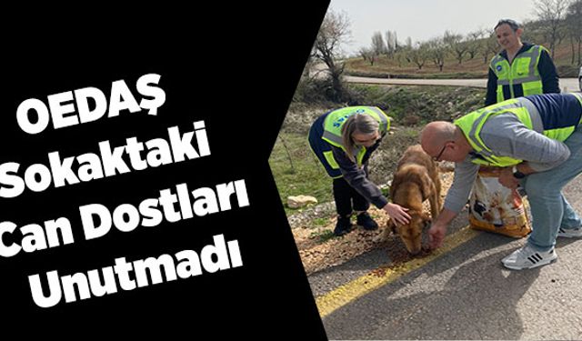 OEDAŞ Sokaktaki  Can Dostları Unutmadı