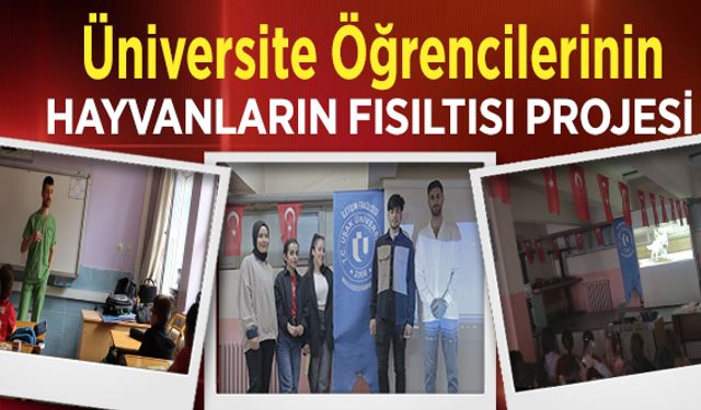 Üniversite Öğrencilerinin HAYVANLARIN FISILTISI PROJESİ