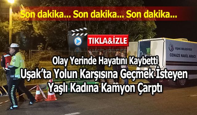 Yolun Karşısına Geçmek İsteyen Kadına Kamyon Çarptı, 1 Ölü