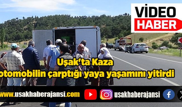 Uşak'ta kaza  otomobilin çarptığı yaya yaşamını yitirdi