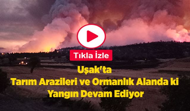 Uşak'ta Tarım Arazileri ve Ormanlık Alanda ki Yangın Devam Ediyor