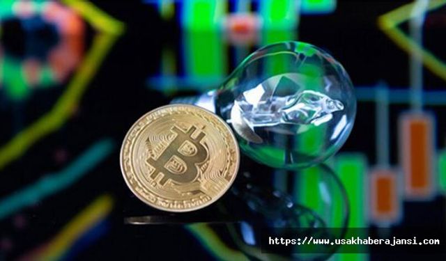 Bitcoin Balinalarının Hareketi Bir Ralli Habercisi Mi?