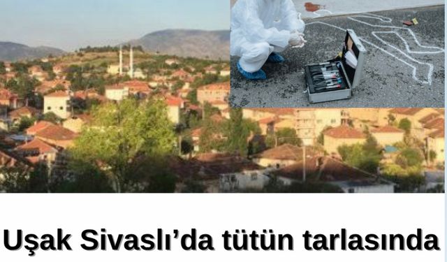 Uşak Sivaslı'nın bir köyünde tarlada cansız bedene rastlandı.