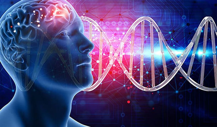 Epilepsi Nedir, Tanı Nasıl Konur, Epilepsi Tedavisi Nasıl Uygulanır