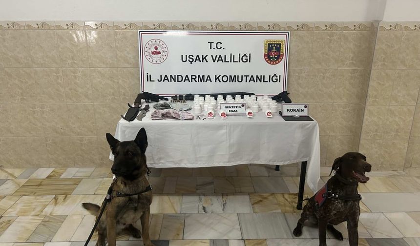 Uşak’ta Jandarmadan Zehir Tacirlerine Geçit Yok