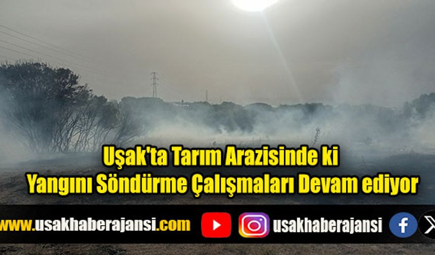Uşak’ta tarım arazisinde ki yangın makilik alana sıçracı