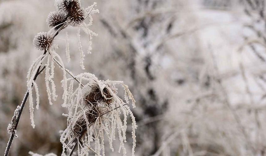 Meteoroloji Uyardı, Uşak ve 23 il İçin Zırai Don Uyarısı
