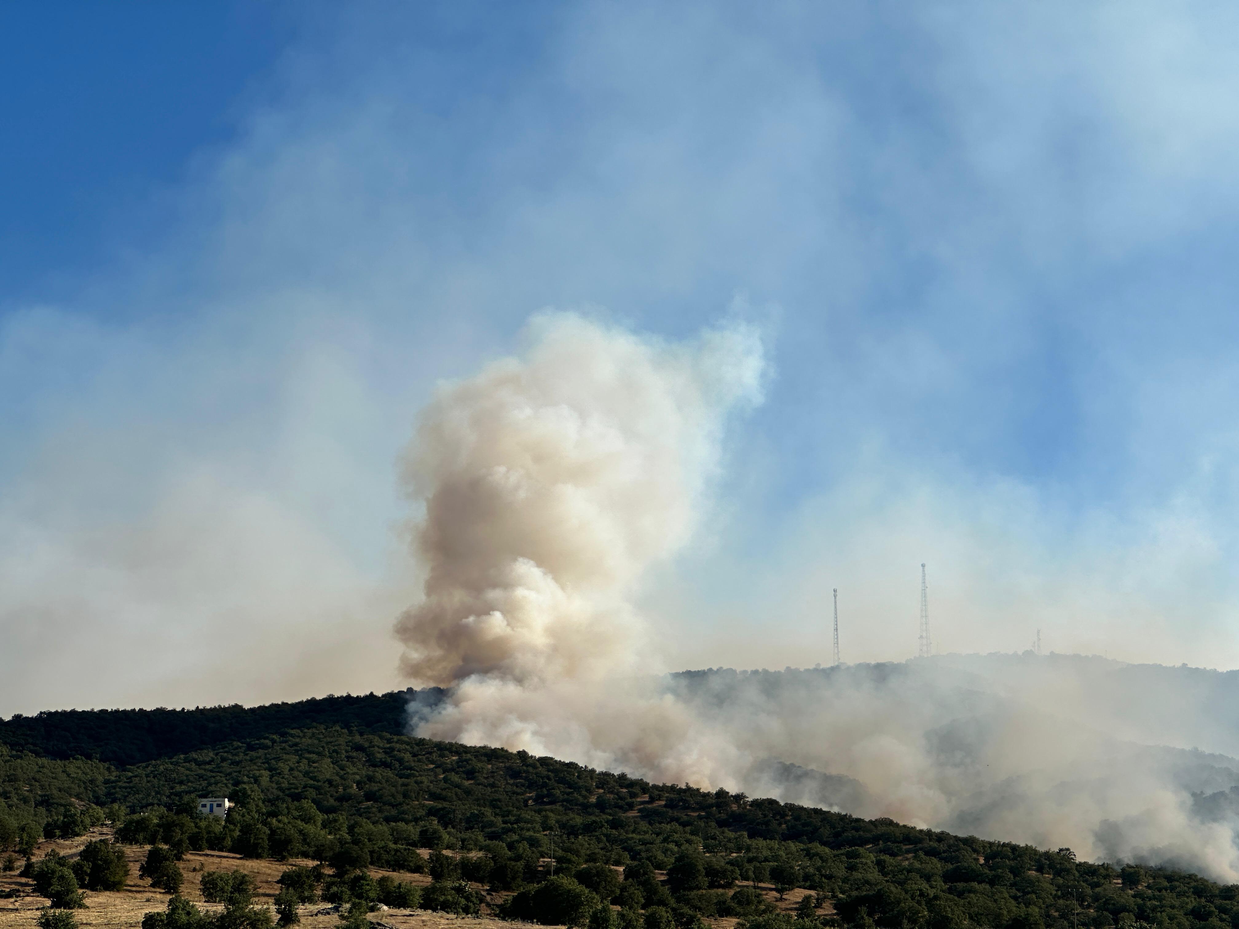 Usak'ın Eşme ilçesinde Ormanlık Alanda Yangın